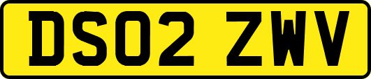DS02ZWV