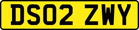 DS02ZWY
