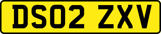 DS02ZXV