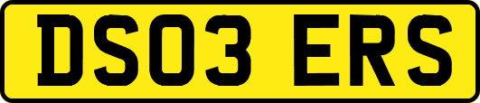 DS03ERS