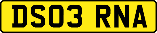 DS03RNA
