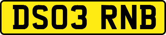 DS03RNB
