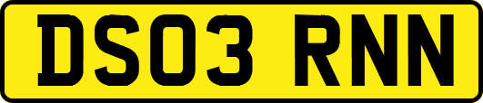 DS03RNN