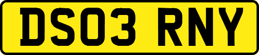 DS03RNY