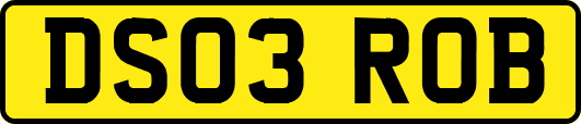 DS03ROB