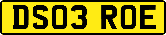 DS03ROE