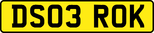 DS03ROK