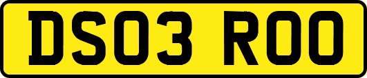 DS03ROO