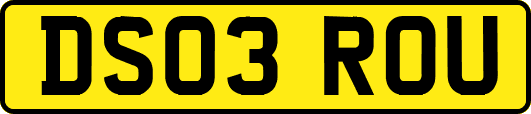 DS03ROU