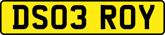 DS03ROY