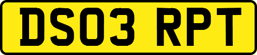 DS03RPT