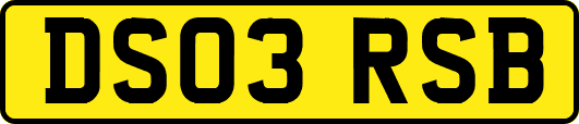DS03RSB