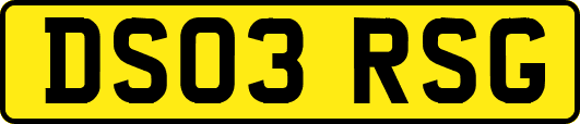 DS03RSG