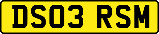 DS03RSM
