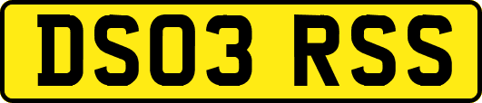 DS03RSS