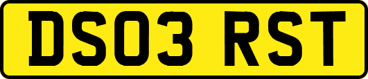 DS03RST