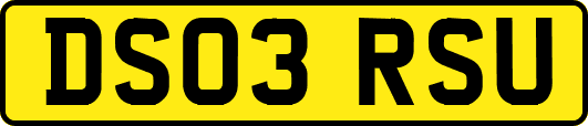 DS03RSU