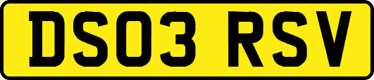 DS03RSV