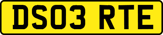 DS03RTE