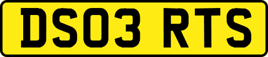 DS03RTS