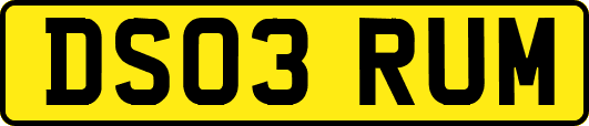 DS03RUM