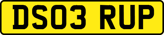 DS03RUP
