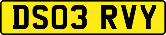 DS03RVY