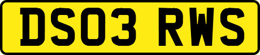 DS03RWS