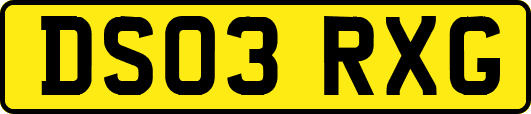 DS03RXG