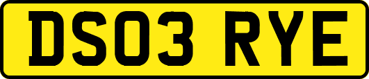DS03RYE