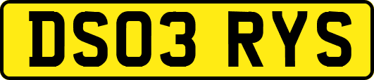 DS03RYS