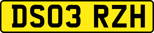 DS03RZH