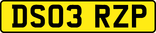 DS03RZP