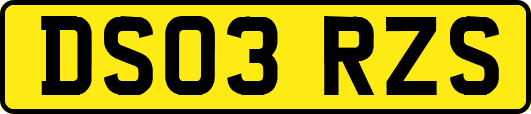 DS03RZS