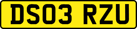DS03RZU