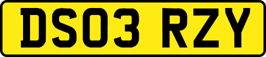 DS03RZY