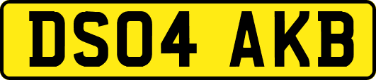 DS04AKB