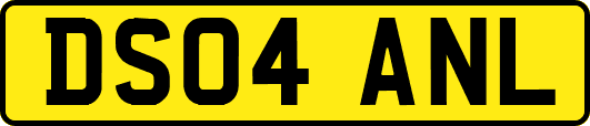 DS04ANL