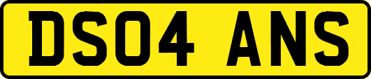 DS04ANS