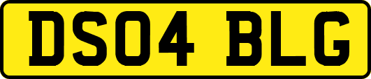 DS04BLG