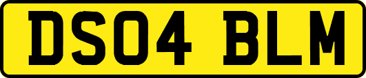 DS04BLM