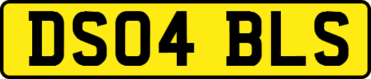 DS04BLS