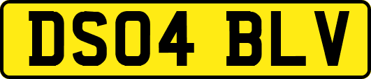 DS04BLV