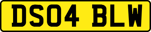 DS04BLW