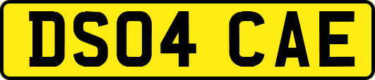 DS04CAE