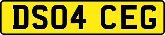 DS04CEG