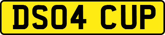 DS04CUP
