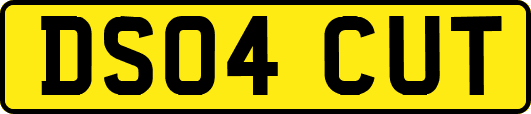DS04CUT