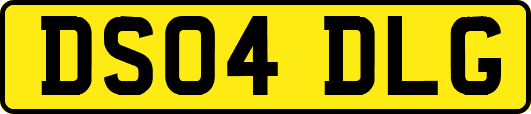 DS04DLG