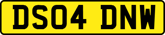 DS04DNW
